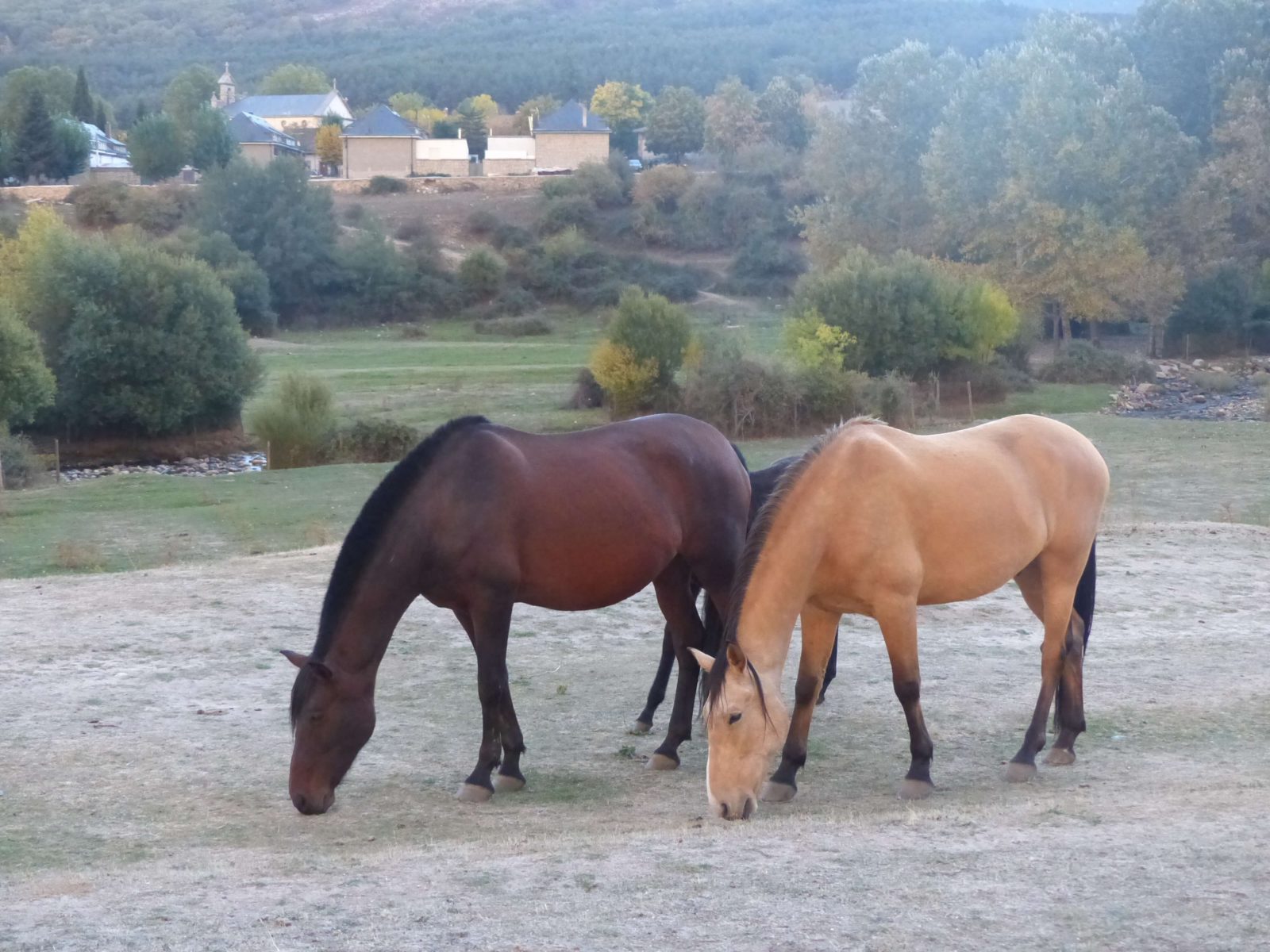 casa prado | valsain | alquiler | casa completa | Sierra | Guadarrama